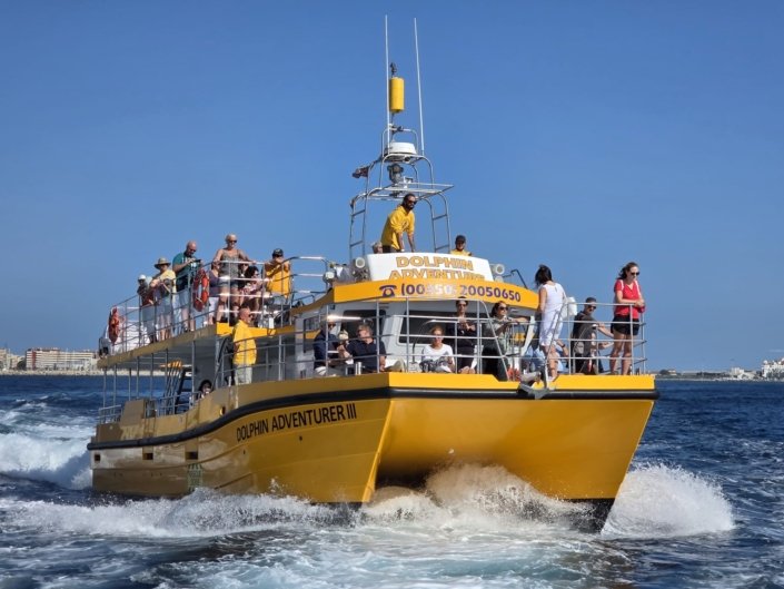 Blyth Dolphin Adventurer III Boat Dolphin Adventurer III