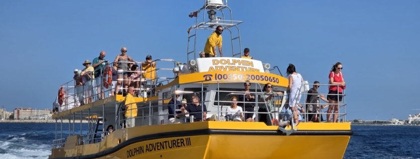 Dolphin Adventurer III